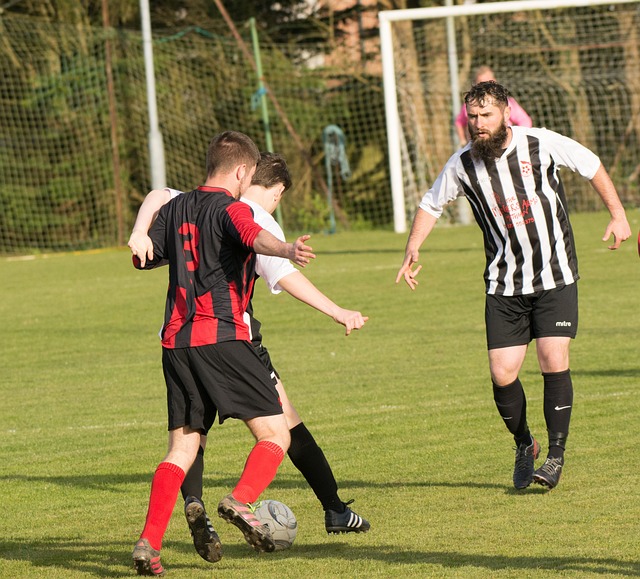 倒三角体系 倒三角体系