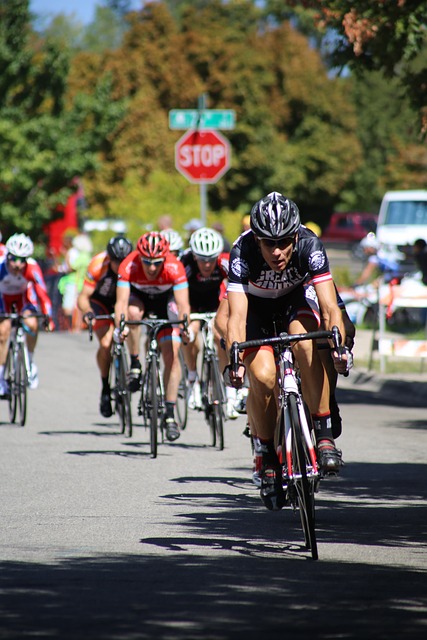 动与地域文 动与地域文