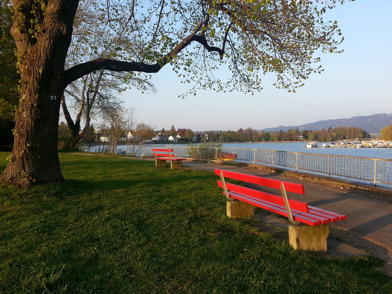 部第二的球 部第二的球