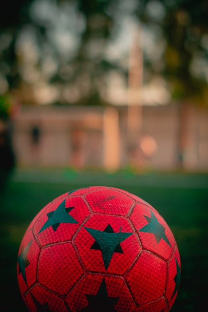 他们一路闯 他们一路闯