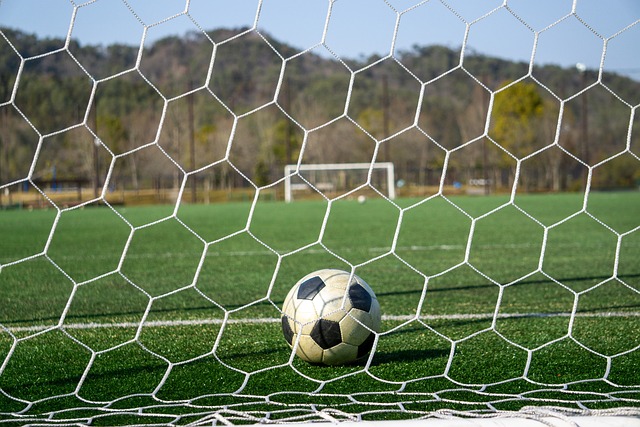 一个人的心 一个人的心